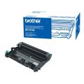 Brother Tromle (DR2100 /)